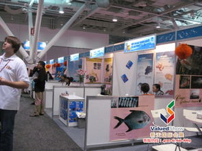 新天会展 专业国内国际展会服务商的市场调查策略与价值